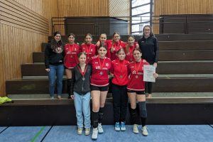 Faustball U16w: Landesmeisterschaft